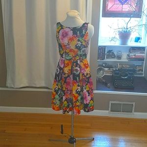 The Limited fit and flare dress, size 0